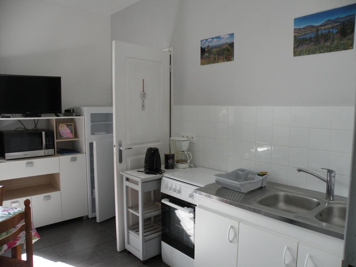 Rose, 4 Pers. Villa Saint Antoine, Orcival, Sancy Exterior photo