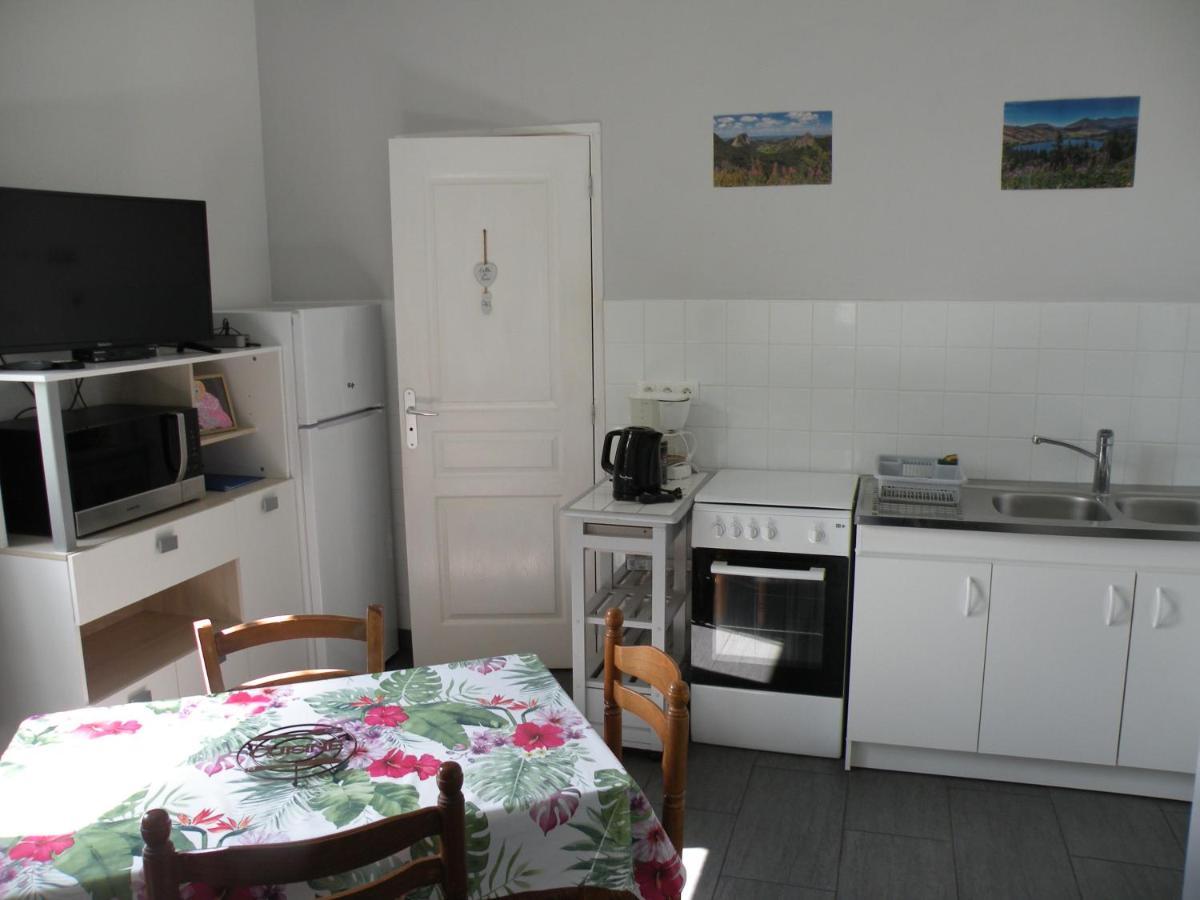 Rose, 4 Pers. Villa Saint Antoine, Orcival, Sancy Exterior photo